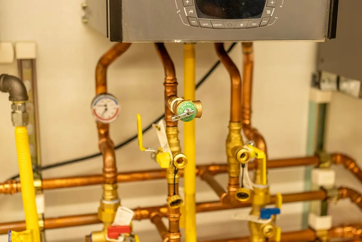 Licensed technician providing Sewer Cleanout for a homeowner in Petal